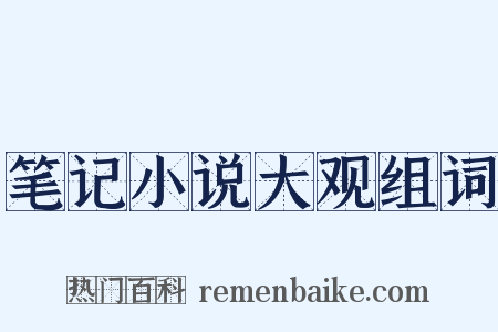 笔记小说大观组词是什么意思的图片